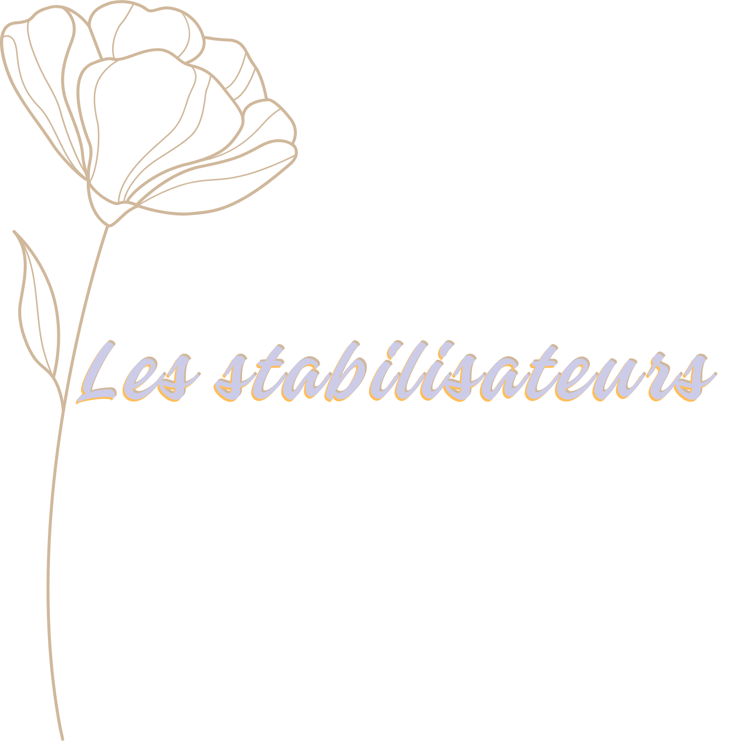 Stabilisateurs pour machine à broder