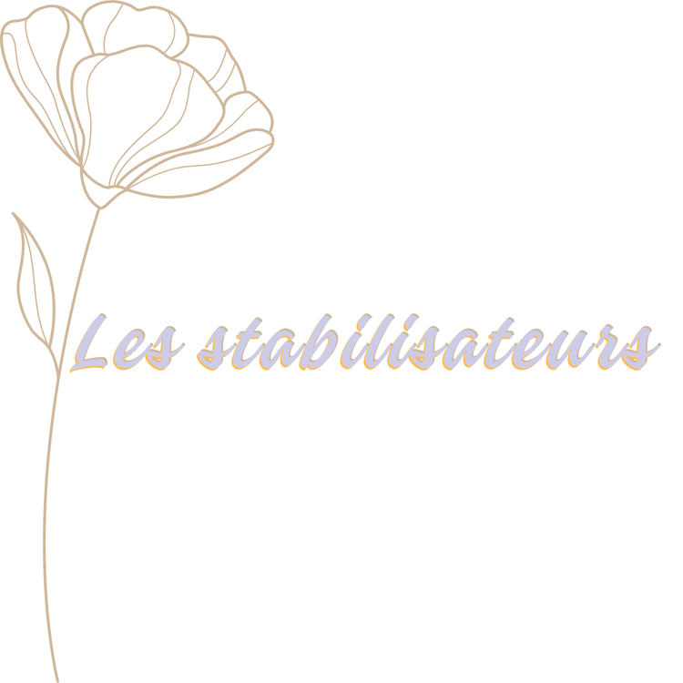 Stabilisateurs pour machine à broder
