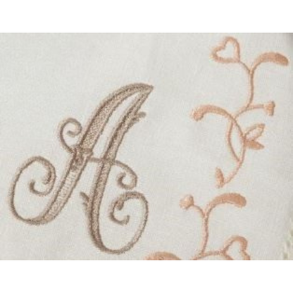 BERNINA B700 PRO Machine à broder Bernina B700 Pro avec module de broderie