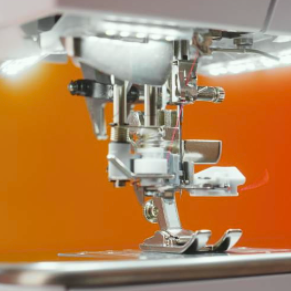 BERNINA B770 QE PRO Machine à coudre et à quilter, module de broderie non inclus en option*