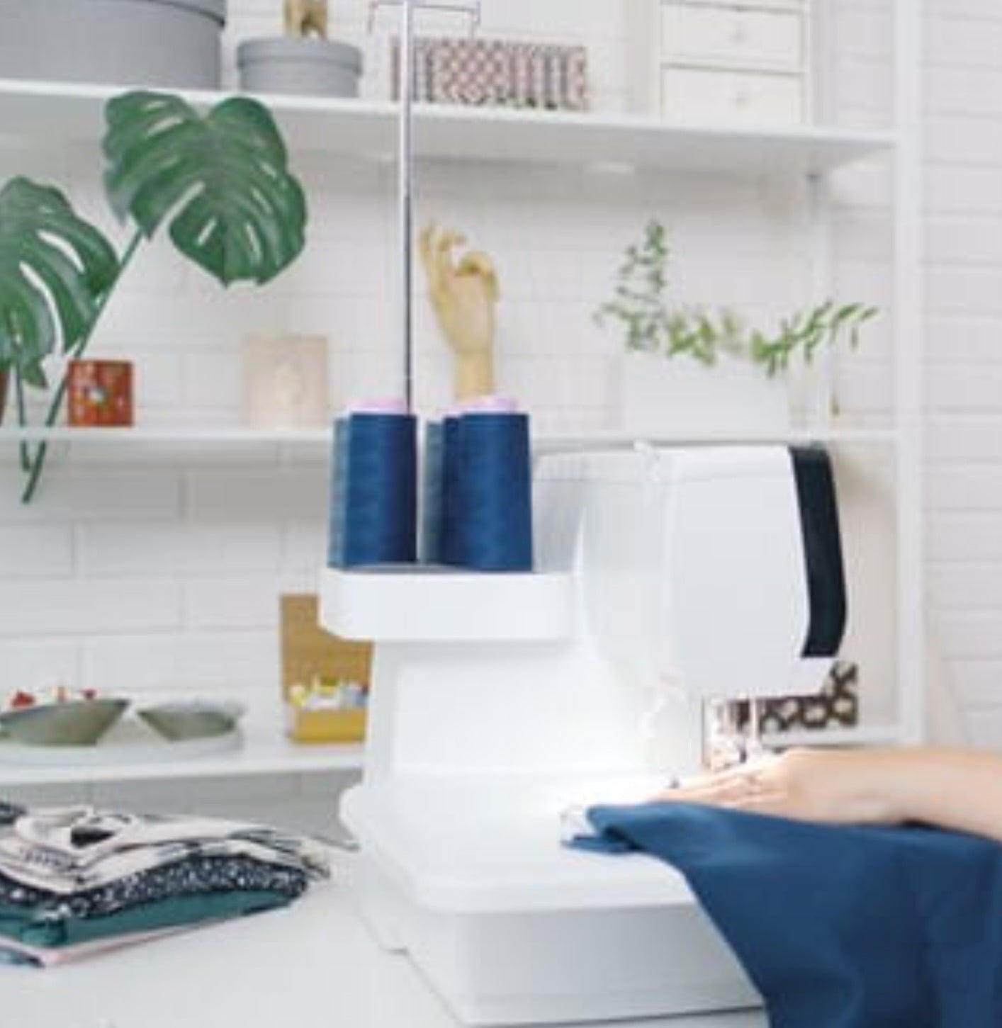 Surjeteuse recouvreuse BERNINA L890